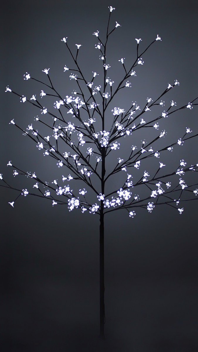 Deraliye tweet media