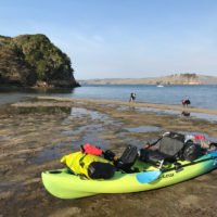 snapyeti tweet media