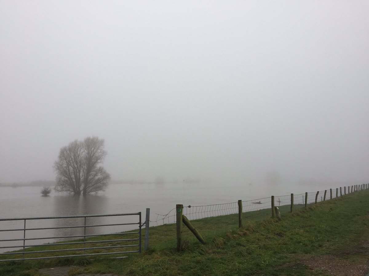 Wineke_dB's tweet photo. Hoog water en mist. Snelstromend water en drijvend hout. Bijzondere sfeer bij de IJssel in #Zutphen. https://t.co/MPg8duyAOu