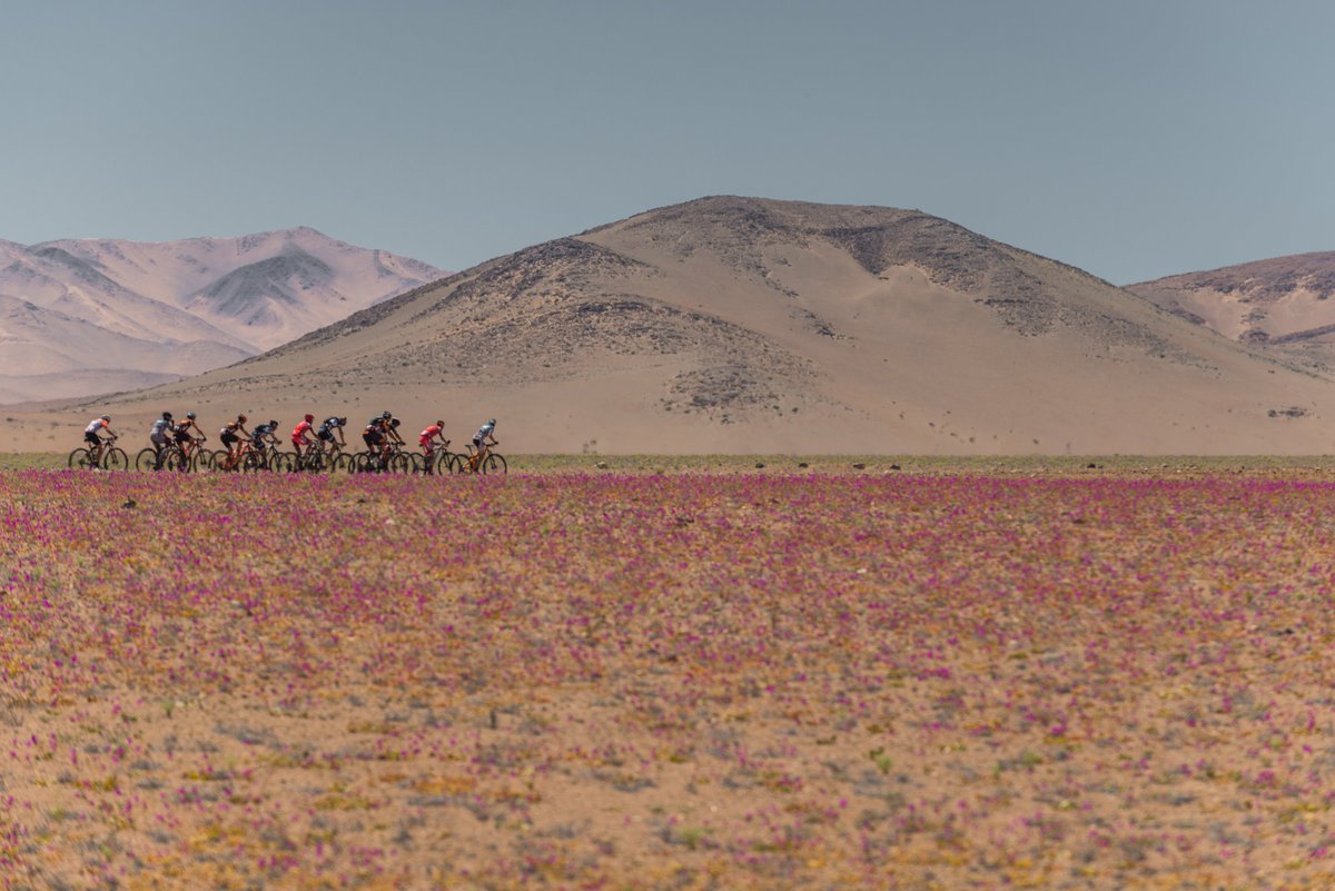Desierto Florido, imágenes de Épica Atacama 2017 👇😍