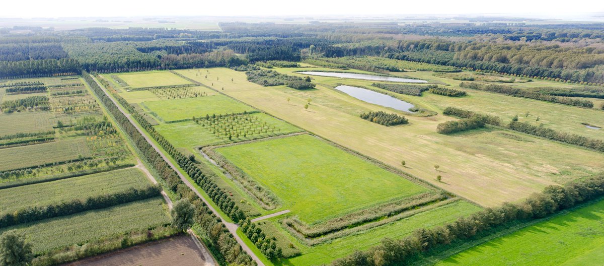 Lang niet alle landgoederen hebben een landhuis of kasteel. Het jonge en nieuw bij ons aangesloten <a href="/roggebotstaete/">Roggebotstaete</a> bijvoorbeeld! Wat is er dan wel? 52 hectare ruimte voor weidse uitzichten, bottom-up ontwikkeling en eetbare natuur! nederlandselandgoederen.nl/landgoederen/l…