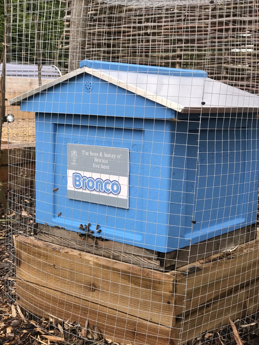 BeesforBusiness's tweet photo. And they’re out! @Bronco your bees are enjoying a mild break in the weather here at the #farm - they’re out for an afternoon constitutional! #bees #csr #nature #adopt #hr #employeebenefits https://t.co/AQYQldBn6t
