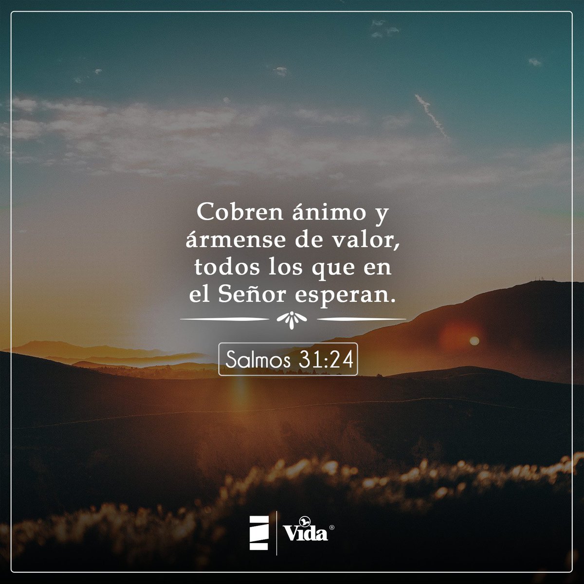 Cobren ánimo y ármense de valor,
todos los que en el Señor esperan.
Salmos 31:24