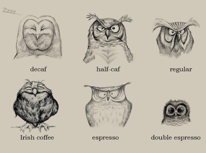 Does anyone else feel like 'double espresso' owl this last week before #Christmas? 😂 #caffeine #christmascountdown