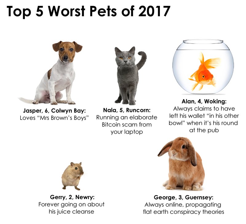 worst pets