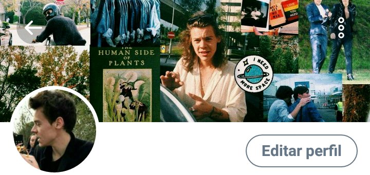 packstumblrr's tweet photo. 🍂PACK HARRY STYLES + LARRY🍂

🍂FAV se gostou/ like
🍂RT se salvou / RT if u save
🍂Créditos se usar/ credits if u apply

//Mari
#WeAreAllHarry https://t.co/fFPjldoXFv