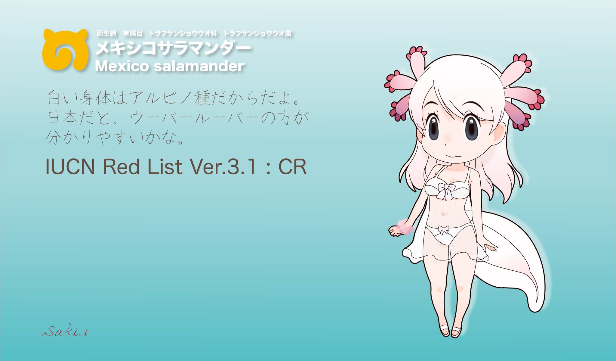 塚原咲 در توییتر メキシコサラマンダーのフレンズをを描きました ただ 何か達成感が0 ベビードール着た女の子っぽいんだよね テオテニー 幼態成熟 だから 幼体 ベビー ドール なのかな そもそもルーム ナイト ウェアでだから 関係ないんじゃ よく解ん 塚原咲 در توییتر メキシコサラマンダーのフレンズをを描きました ただ 何か達成感が0 ベビードール着た女の子っぽいんだよね テオテニー 幼態成熟 だから 幼体 ベビー ドール なのかな そもそもルーム ナイト ウェアでだから 関係ないんじゃ よく解ん