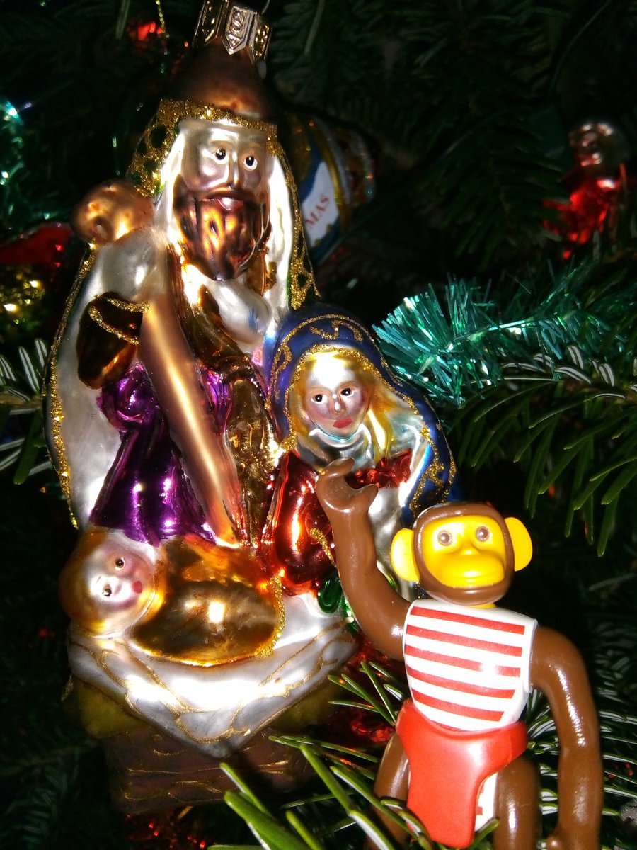 MonkeyTheChimp's tweet photo. Not long to wait until #ChristmasDay #LittleBabyJesus #InTheCrib https://t.co/ygUp8Xq0zb