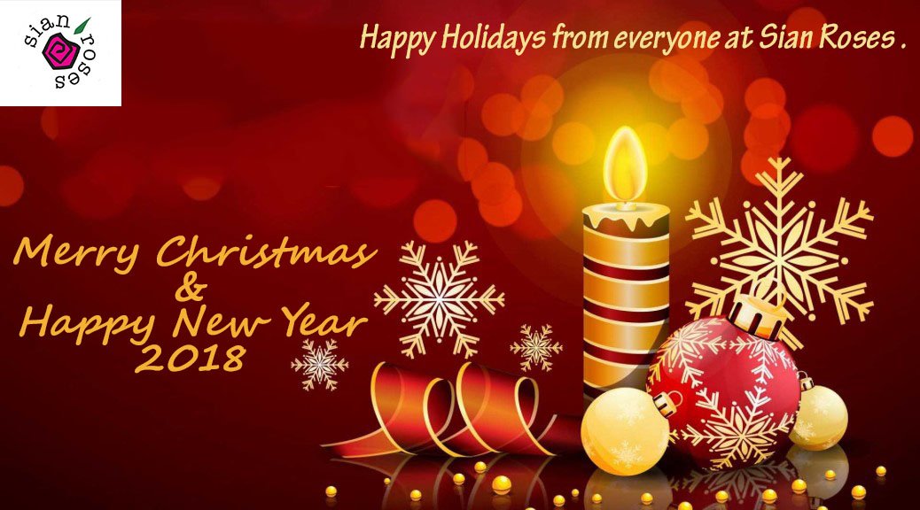 SianFlowers (@sianflowerske) on Twitter photo 