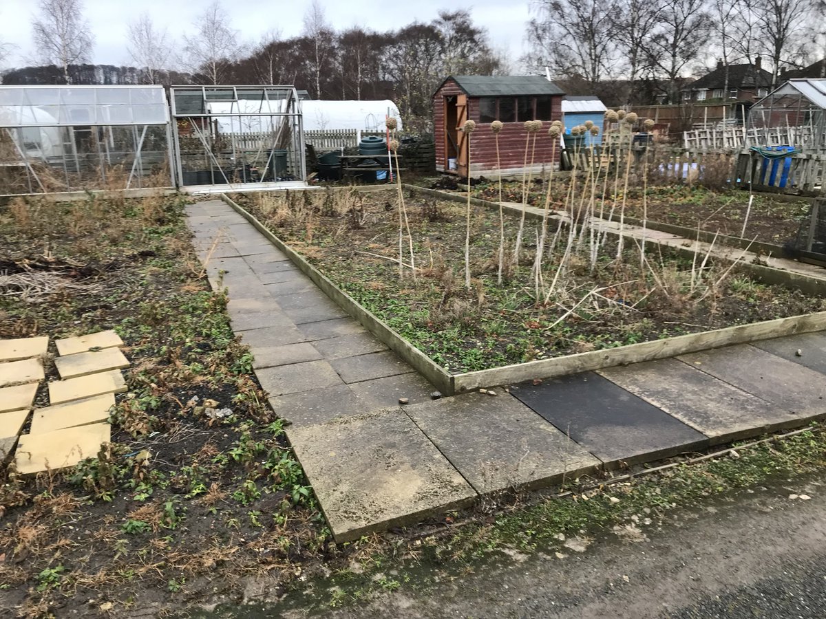 After the house flooded the plot has had 2 years of neglect.. but that’s over now so here’s to a great new year.. happy gardening everyone 😀