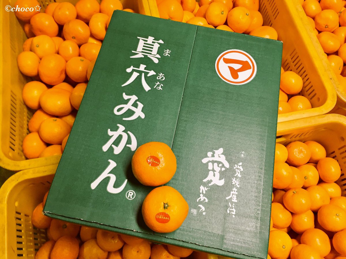 大好き 真穴みかん Suki Maanamikan Twitter