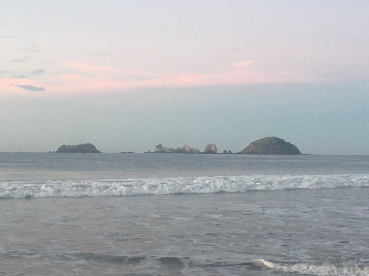 Eduardo Chaillo CMP, CMM, CITP tweet media