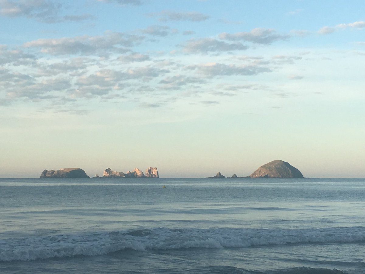 Eduardo Chaillo CMP, CMM, CITP tweet media