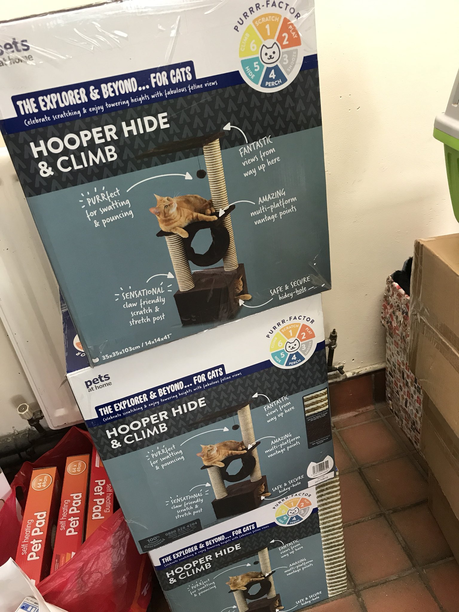 Ncle Dog&amp;Cat Shelter on Twitter &quot;We’re so grateful to