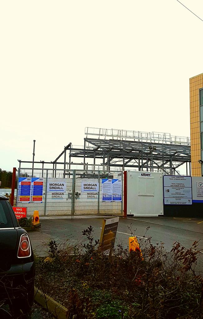 Blueberry Bears tweet media