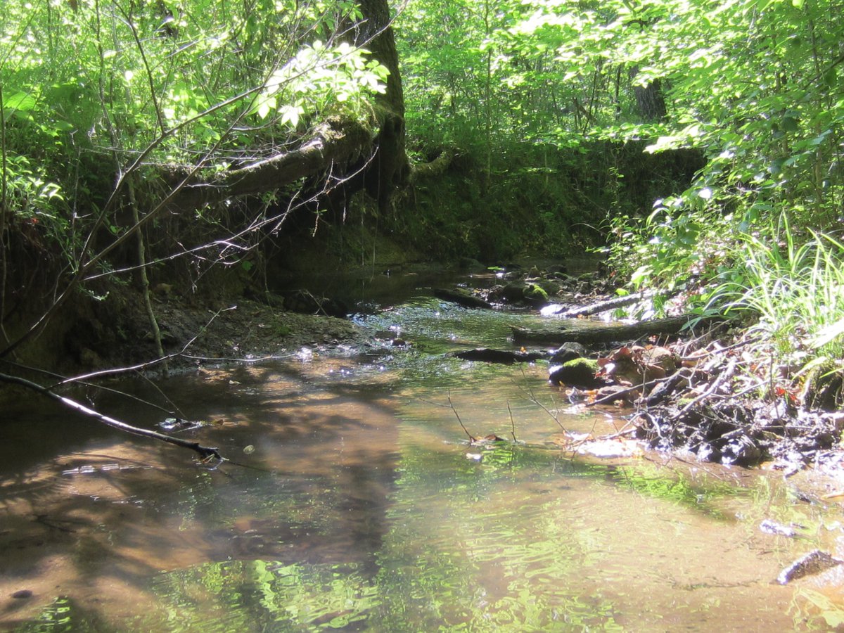TreelyLand's tweet photo. #NorthCarolina #Mountain #Land #ForSale, 180+ #acres located in #UnionMIlls #Rutherford County.  View details at https://t.co/5bjwg85dox https://t.co/llYFYRh6uj