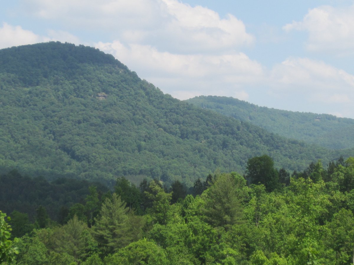 TreelyLand's tweet photo. #NorthCarolina #Mountain #Land #ForSale, 180+ #acres located in #UnionMIlls #Rutherford County.  View details at https://t.co/5bjwg85dox https://t.co/llYFYRh6uj