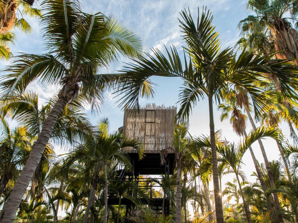 ForbesLife's tweet photo. The world's best tree-house hotels: https://t.co/MjSD17aji6 https://t.co/K1W5t9GWBA