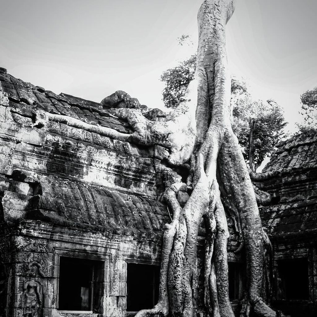 Ok one more. It's a Christmas miracle. #angkorwattemple #taphrom #tombraidertemple #angkorwat #cambodia #seetheworld ift.tt/2oX4Kw1