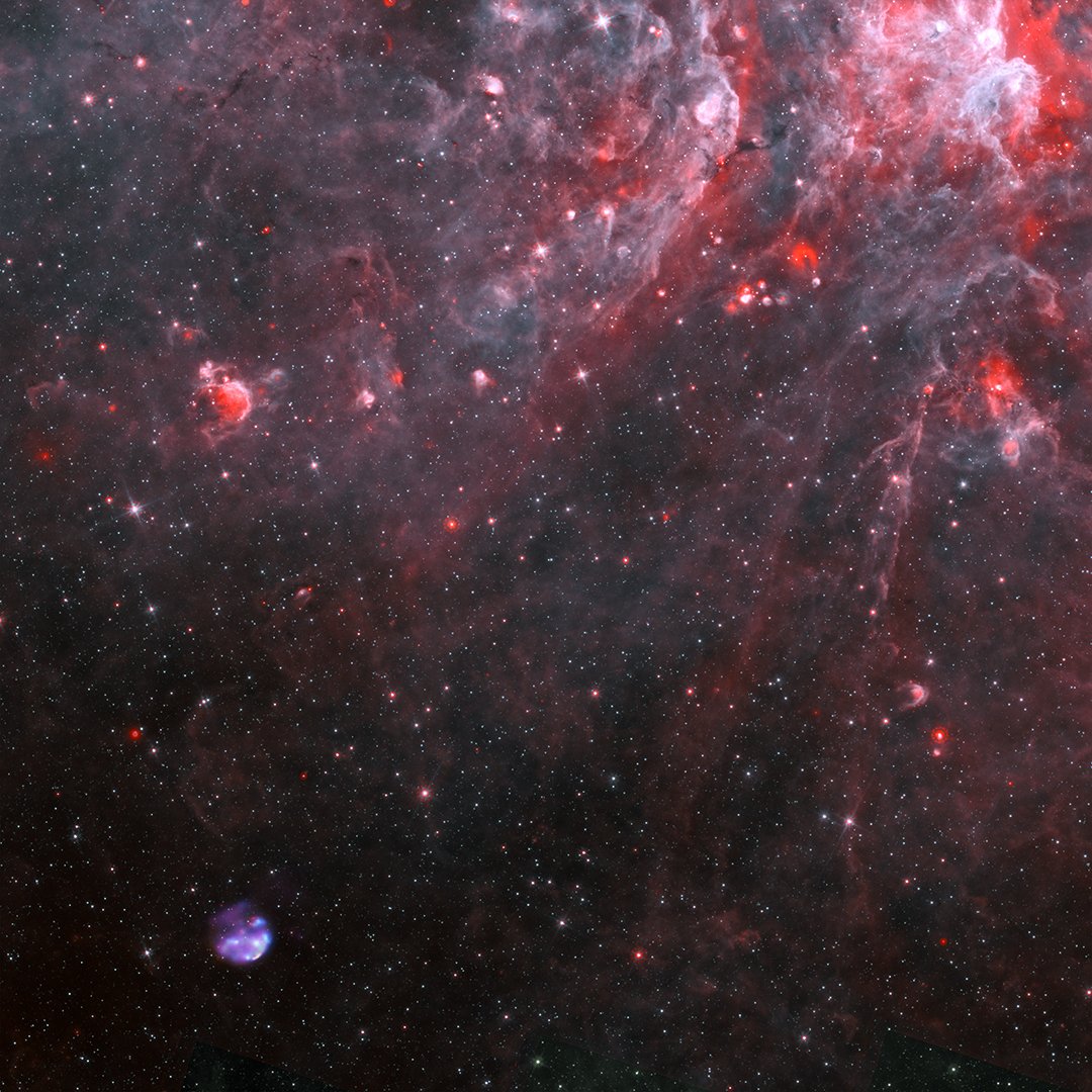 chandraxray's tweet photo. This supernova remnant is one of the youngest in our Milky Way galaxy, likely less than 2,500 years old as seen on Earth! Roughly 26,000 light years away, the explosion's shock wave is racing through #space at about 2.4 million km/h (1.5 million mph)! https://t.co/6qKKthDPwR https://t.co/EmWfhNF2mo