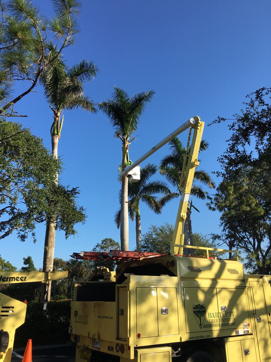 Eric J Von Hofen On Twitter Good Morning Naples Bartletttreeexp Finally Turned The Page On Storm Cleanup And Now Getting After Some Detail Jobs Businessisgrowing Https T Co Io8uvnwkdy