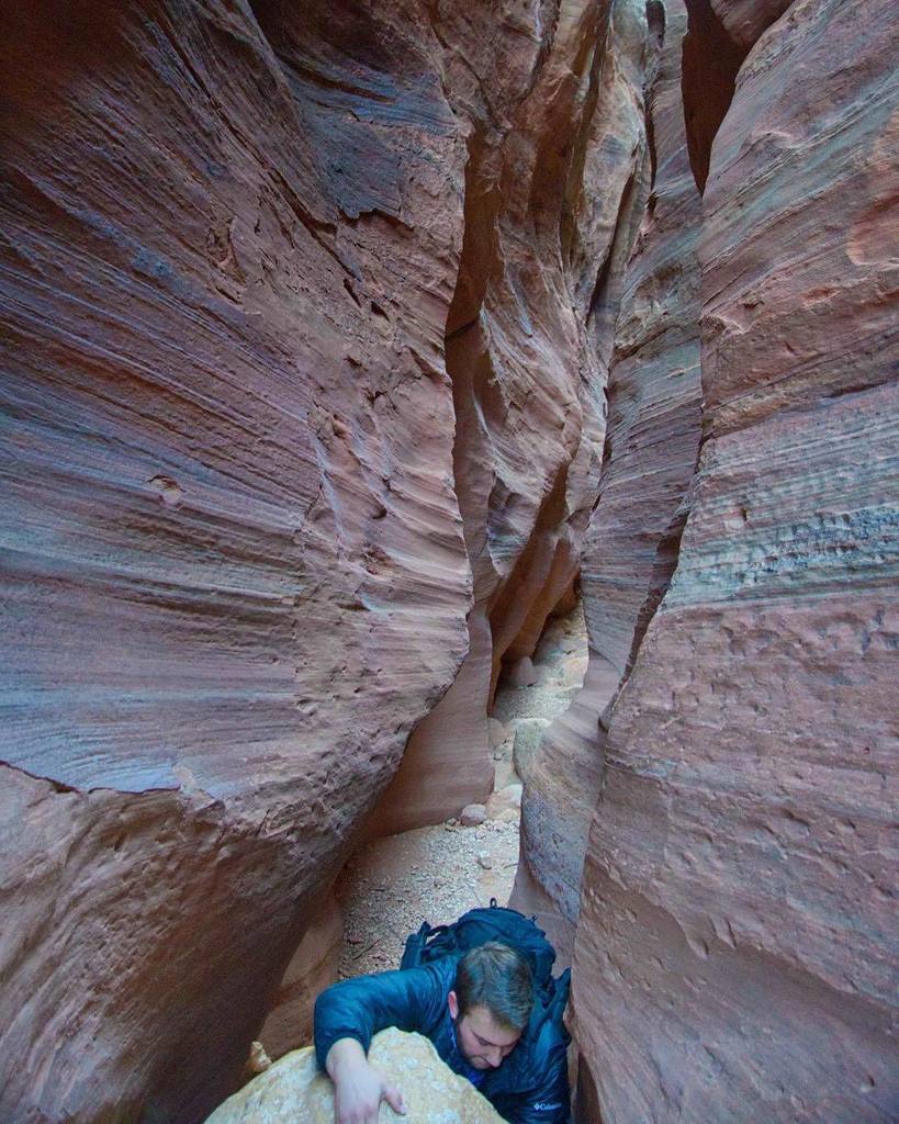 Alex Motz tweet media