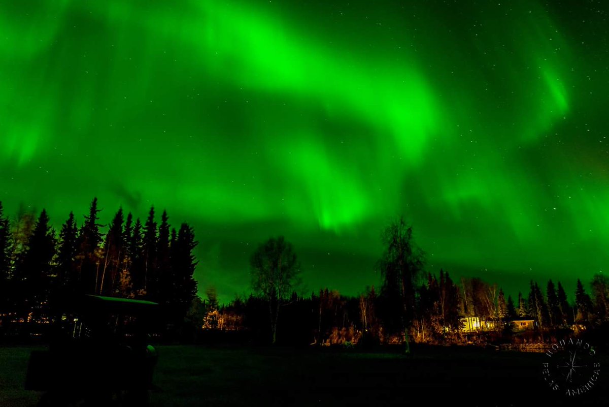 Janehribeiro's tweet photo. @WorkanaBr @luanacabrau @__lisi @alexialidice @drebasantos @corvinatos @melani_sant_ana @brunalizei @danismacedo Eu realizei o sonho de assistir a aurora boreal no Alasca, cheguei ao extremo norte das Américas, pisei no Oceano Ártico, conheci pessoas incríveis e vi ursos, búfalos e tanta vida selvagem como nunca imaginei... tudo isso ao lado da pessoa que amo. #gratidao #EmMeu2017Freela https://t.co/kPss6aaxSi