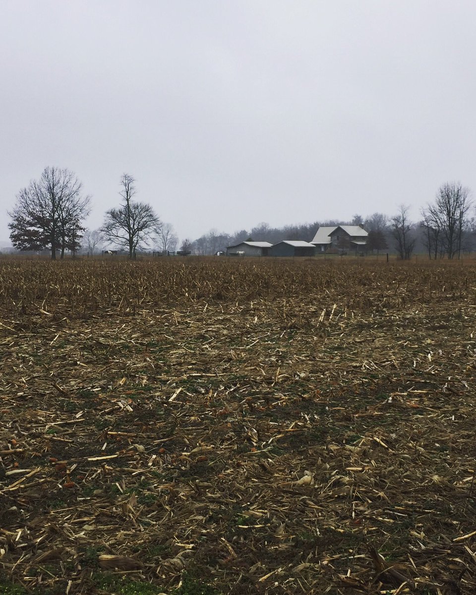 thestrangebird's tweet photo. Beautiful day for a shoot in the rain. #videoproduction https://t.co/nJknNasblJ