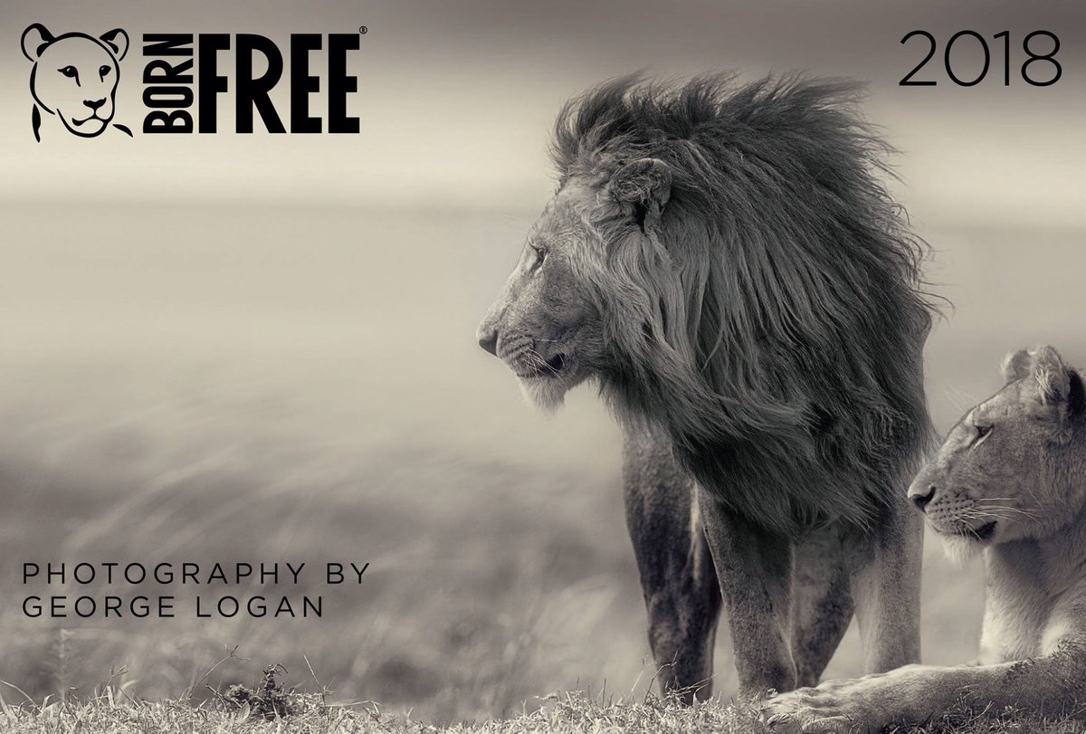 For our #BeyondTheBars year, Born Free has teamed up with award-winning photographer, George Logan, to create an exclusive 2018 wildlife calendar - NOW WITH 25% OFF! Order yours today &amp; help #KeepWildlifeInTheWild (where it belongs)! Visit: bit.ly/BFCalendar2018 #ItsTimeToCare