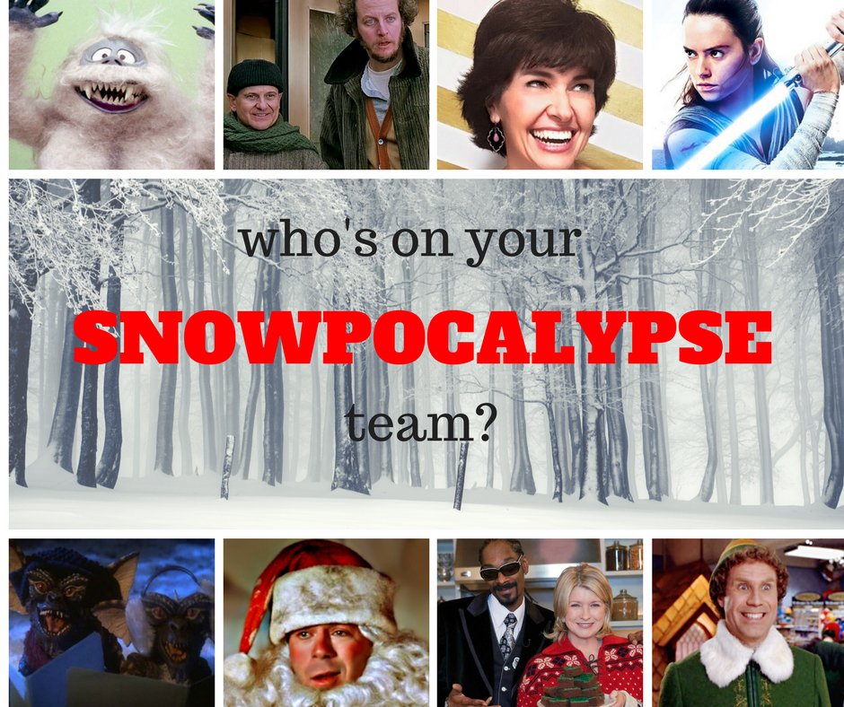 LetsLivestream's tweet photo. Who's on your Snowpocalypse team? #letslivestream https://t.co/adNsBYY99x