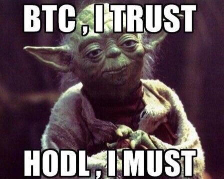 Image result for yoda bitcoin