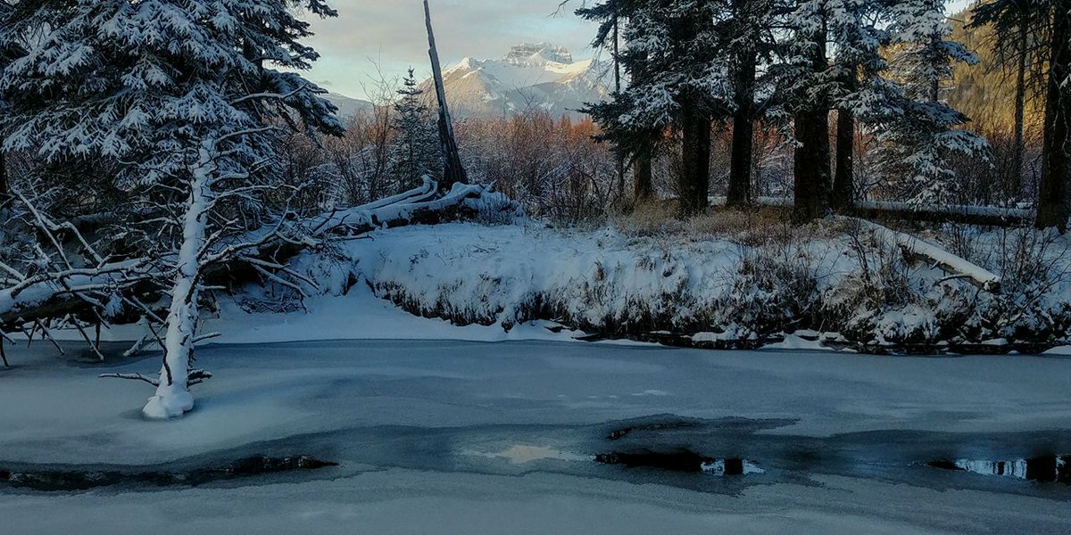 harveylockewild's tweet image. Good winter morning from @BanffNP #BanffNationalPark