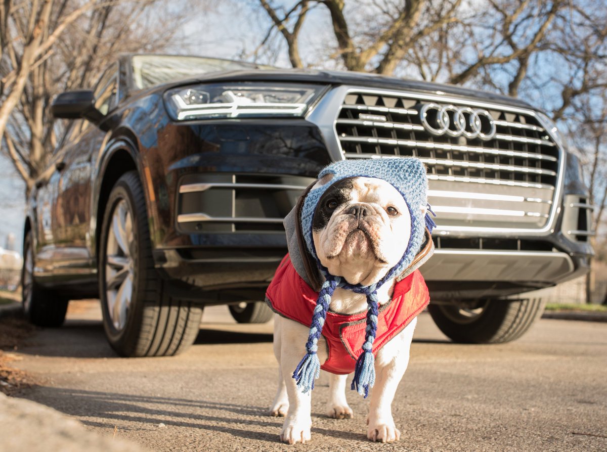 The early bird gets the worm! What should I get Frank for Christmas? 🤔🎁 The @Audi MMI touch on the #Q7 allows me to use my paw to beat all the traffic with navigation help and still make it back before everyone is awake! #AudiPartner
