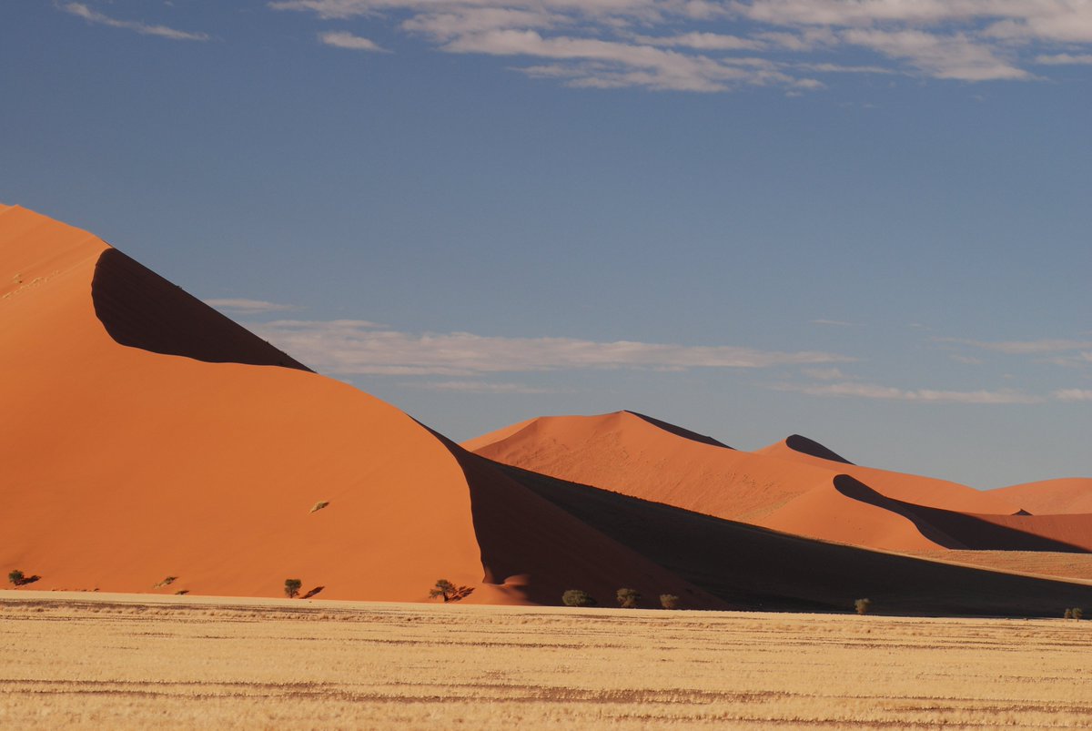 afrika4you's tweet photo. Leise rieselt der Sand...
 In #Namibia stehen auch dieses Jahr heiße #Weihnachten vor der Tür.
#dune #desert #wanderlust https://t.co/nRvkHB8Er5