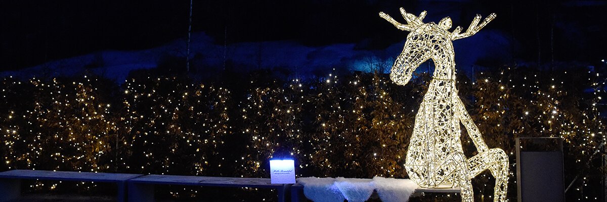 freizeit_tirol's tweet photo. 📅 (Mittwoch) 20.12.2017 in Wattens!
Alle Eventinfos gibt es hier ⬇️
https://t.co/X24LrSItwx https://t.co/3Idx1FzKRH