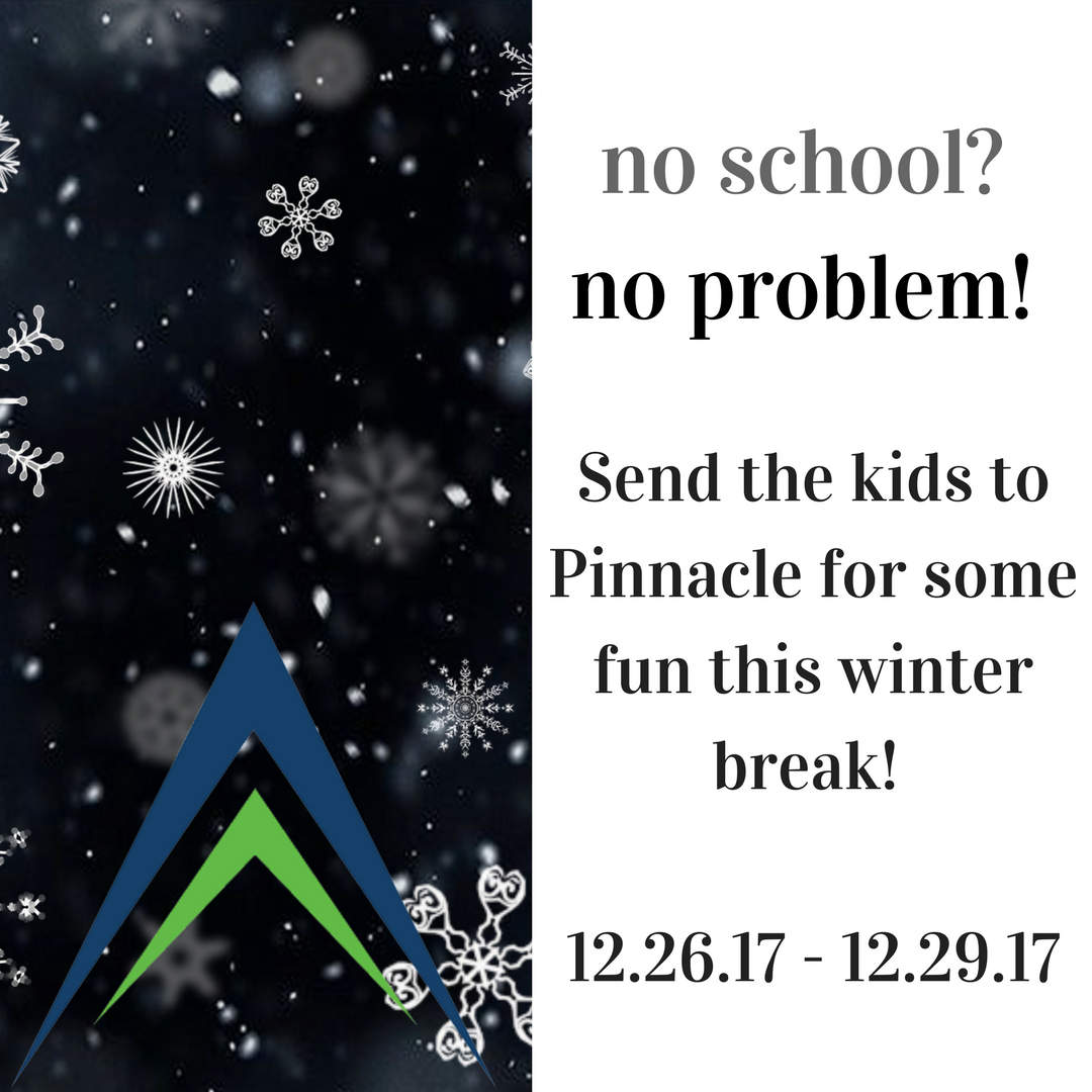 Send the Kids to Pinnacle Athletic this Winter Break! We have fun activities scheduled for each day! Polar Express PJ Day, Ginger Bread Day, Winter Wonderland and Grinch Day! Register at hubs.ly/H09tFh30