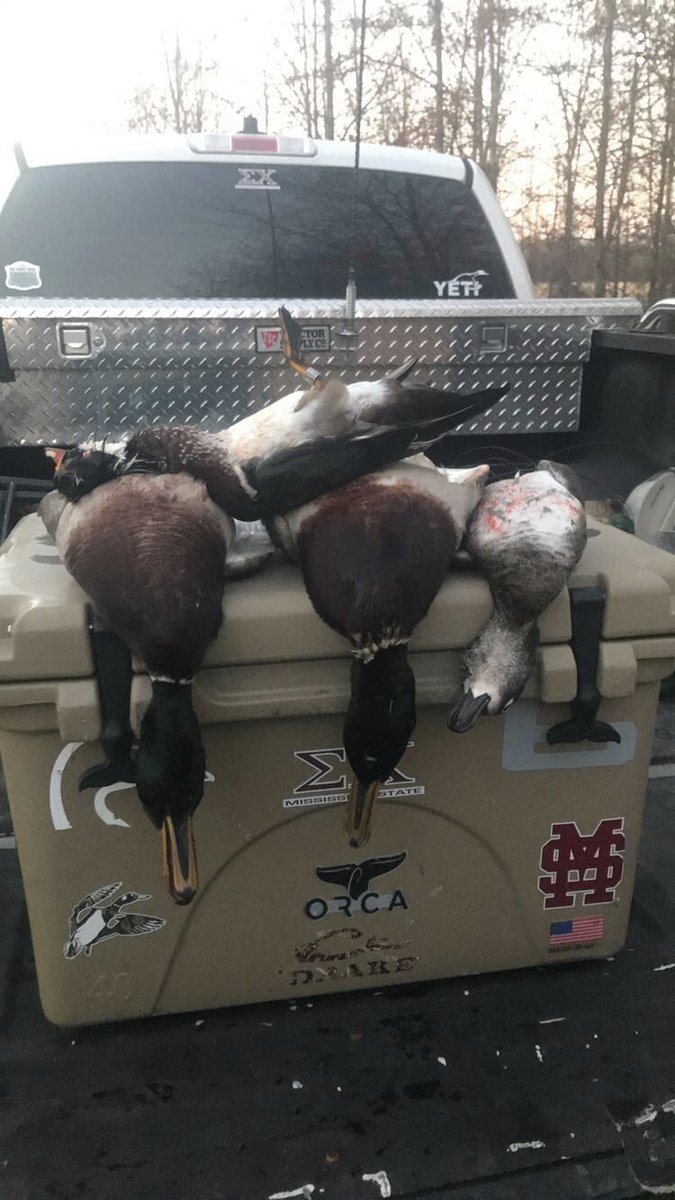 wings_outd's tweet image. Another awesome week in the blind! The jewelry made it all worth it!