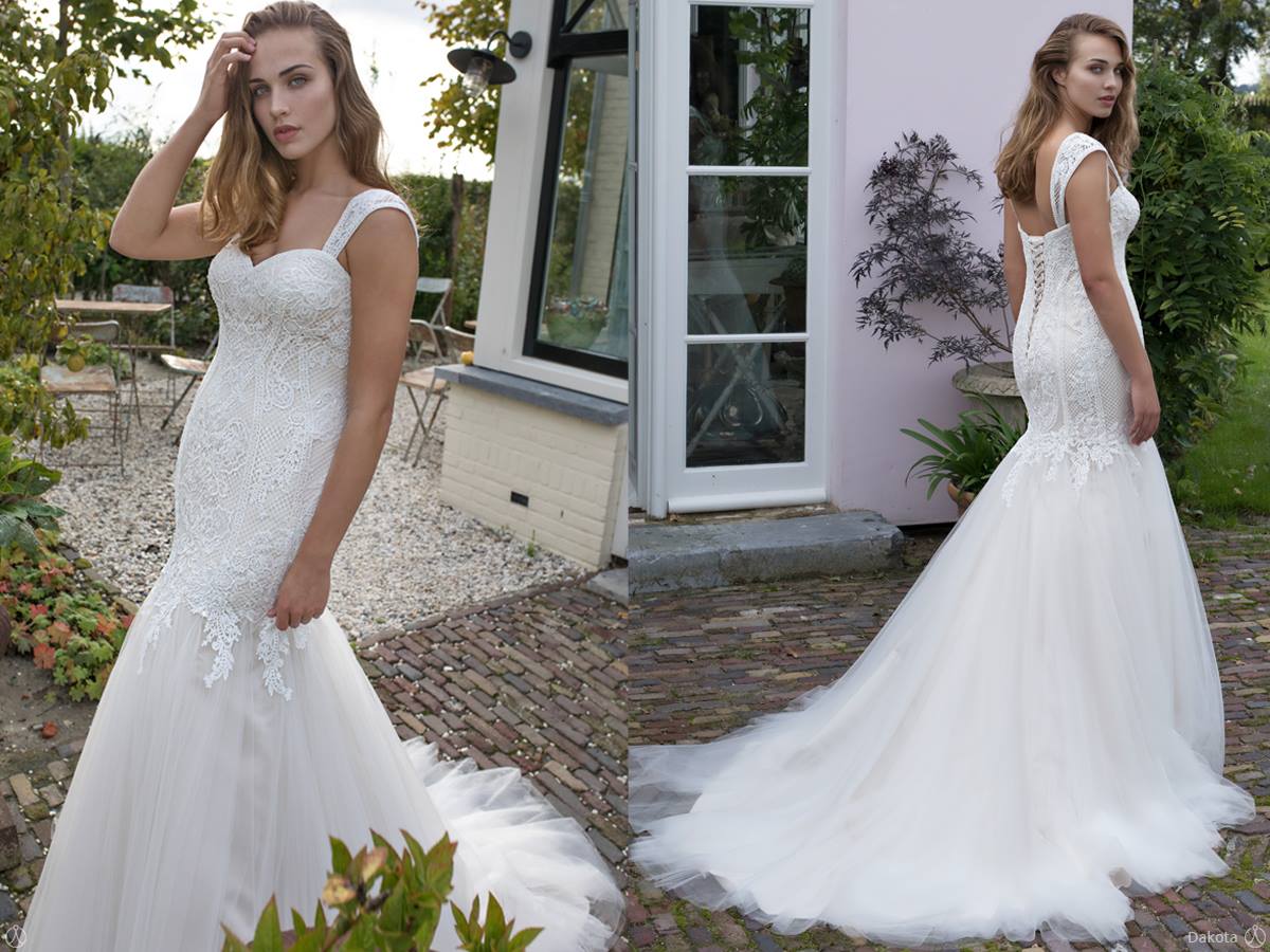 modeca 2019 collection