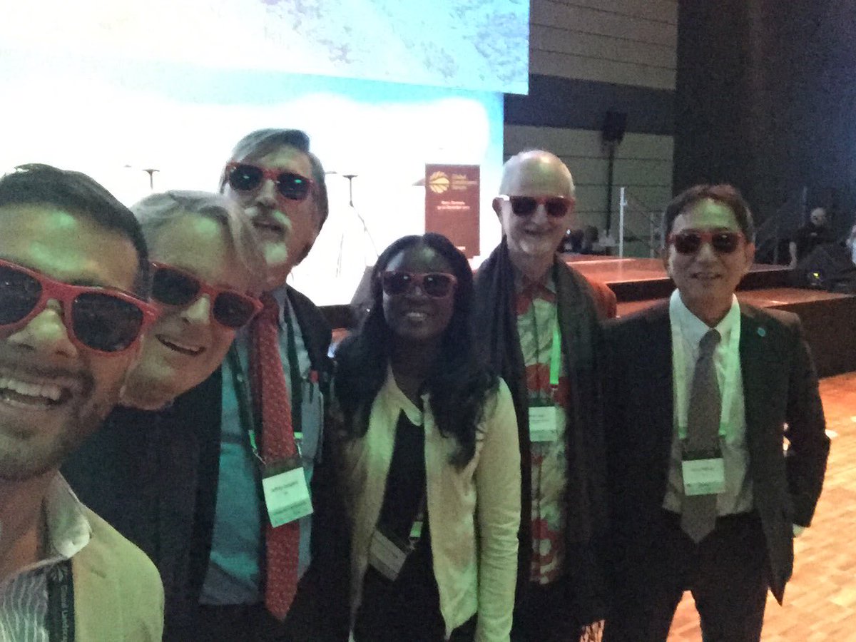 IFSAdotnet's tweet photo. Landscapes in 3D! Interesting session on creating movements and maintaining momentum! #Thinklandscape #GLF2017 #werestartingaband @ForestsMatter @FAOForestry @GlobalLF @UNFAO https://t.co/ObqLZZ9sHG