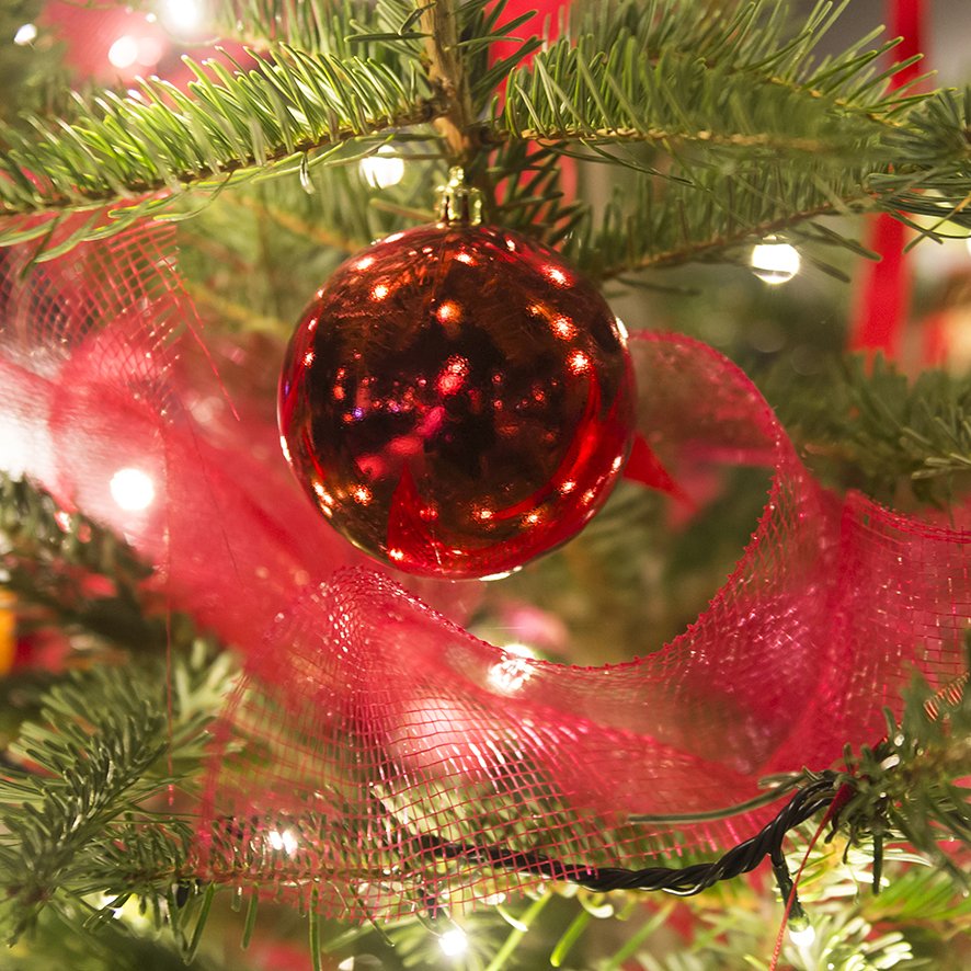 The Corner Hotel BCN tweet media