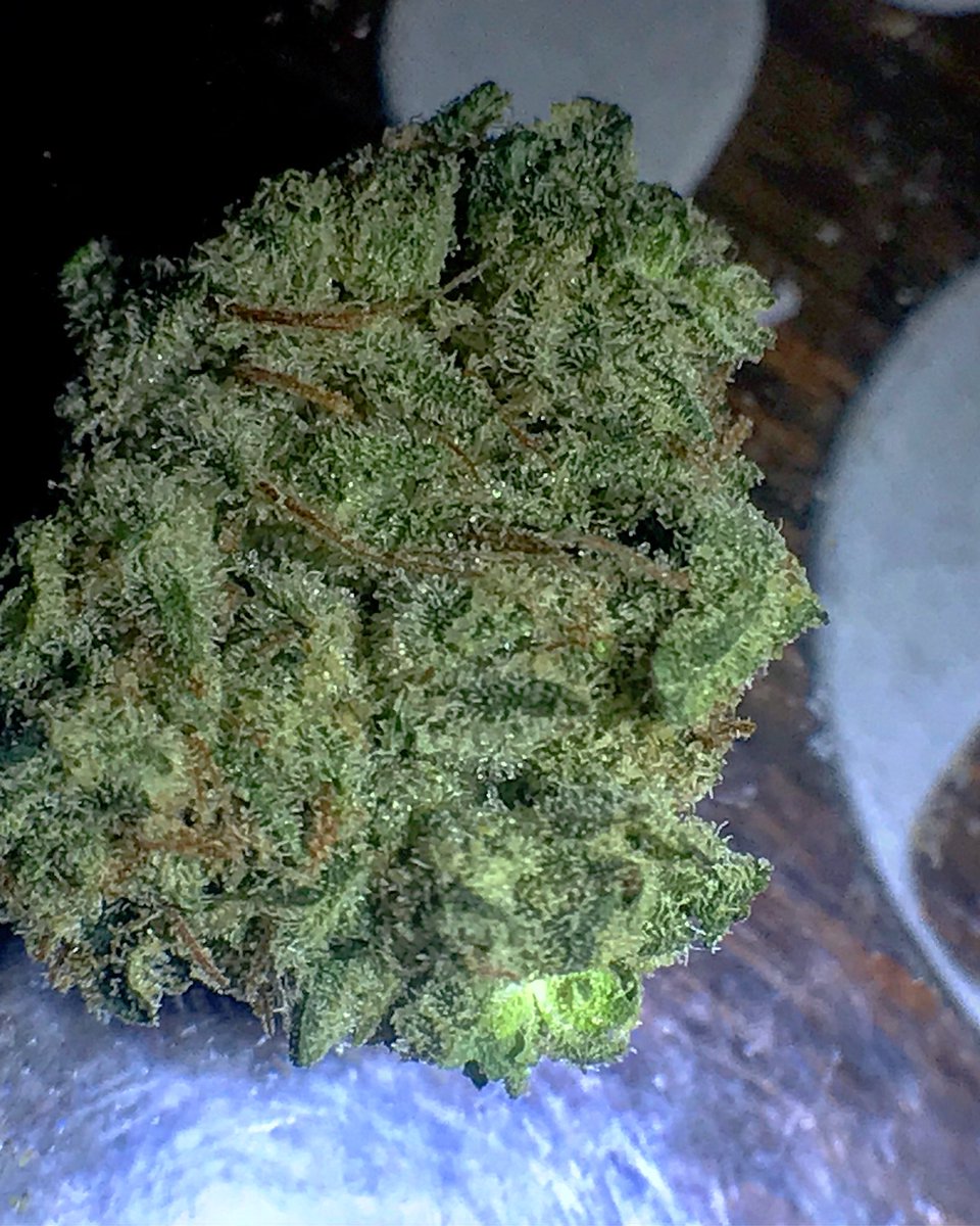 WEEDRETWEET's tweet photo. This is my #WednesdayWisdom
#whiteog
#trichomes
#wedontsmokethesame
#rollocb
#ocb
#paperplanegang
#thc
#frostynug
#nugs https://t.co/HJFi7F937P