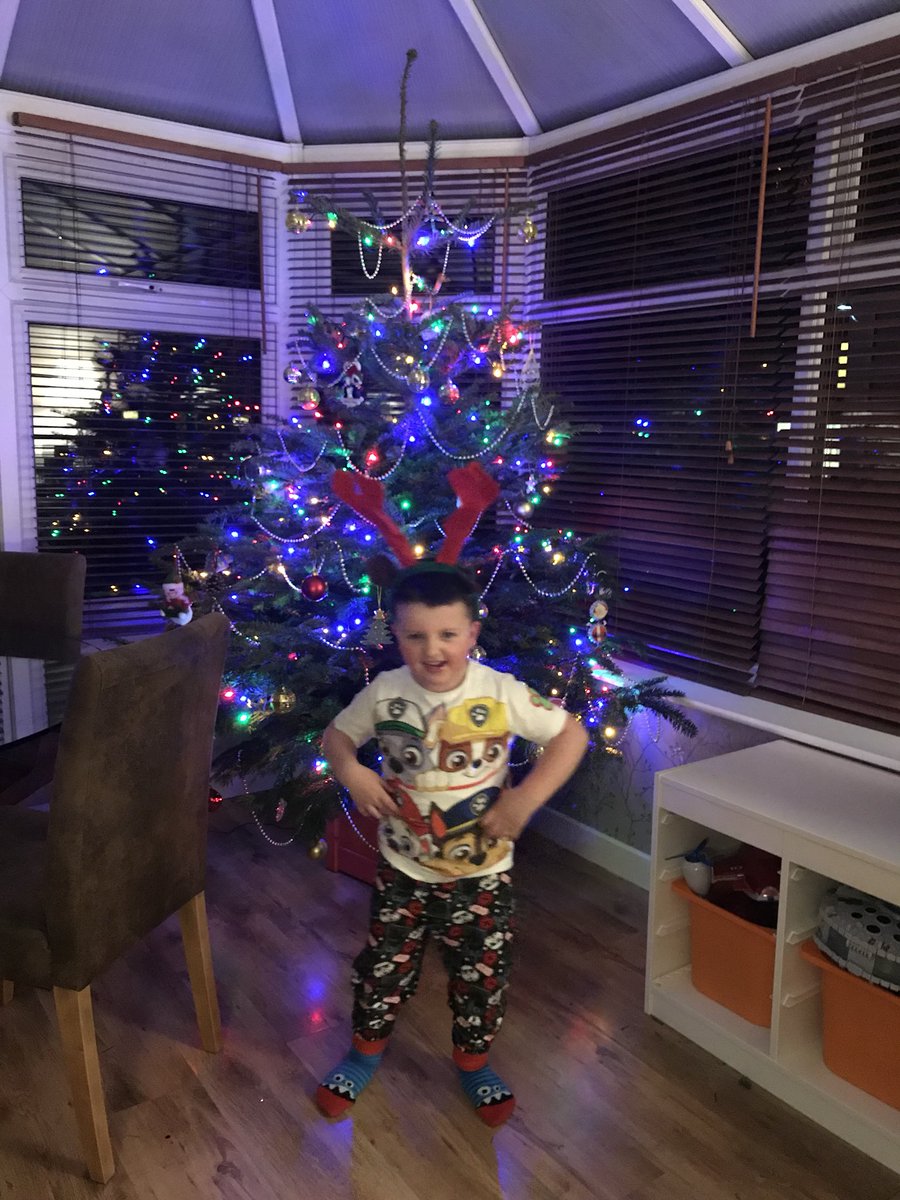 richlawrhino's tweet image. £20 for our 7ft tree from @KeelhamFarm absolute belter ! #nondrop