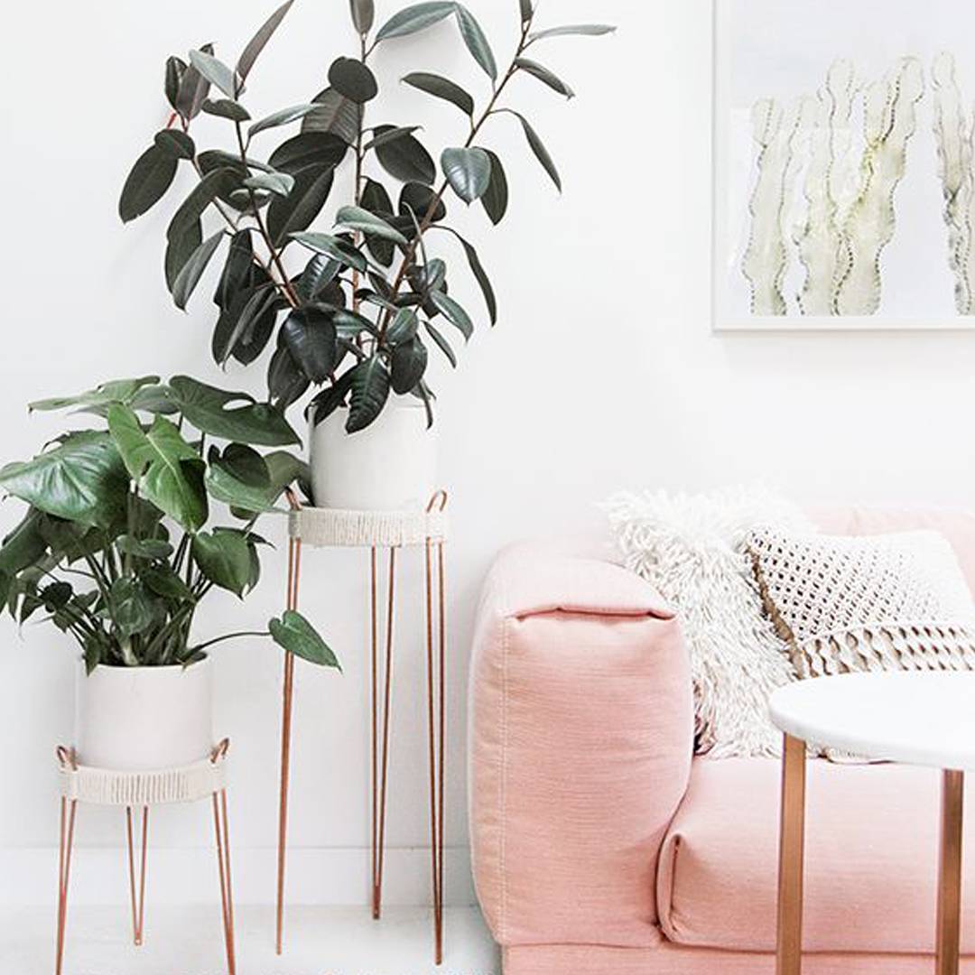 O #millennialpink se mantém como favorita entre as cores que agradam na decoração, no guarda roupa, no design... Saiba como fazer o melhor uso dessa queridinha dos #designers:

casavogue.globo.com/Design/Feiras/…