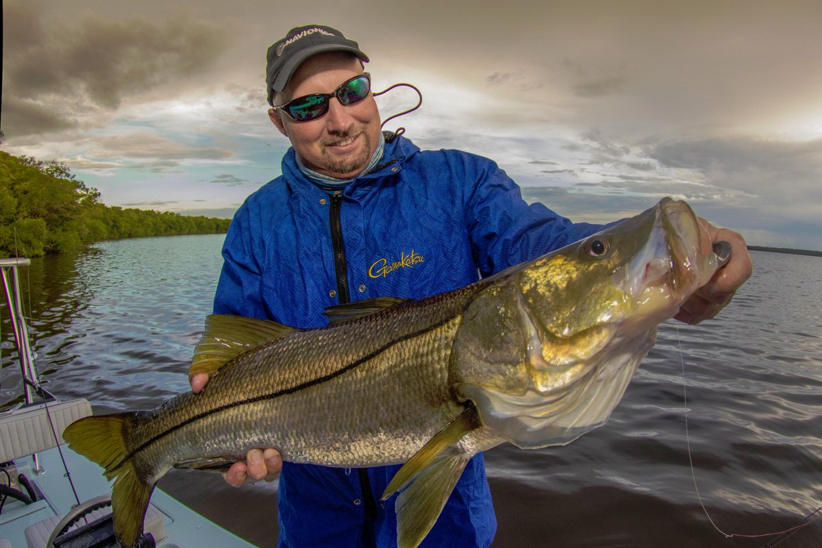 TheIGFA's tweet image. Tis the season for giving and the Florida Forage Fish Research Program could use your help supporting a fisheries student fellowship in 2018. Learn more and donate here #schoolup crowdrise.com/o/en/campaign/…