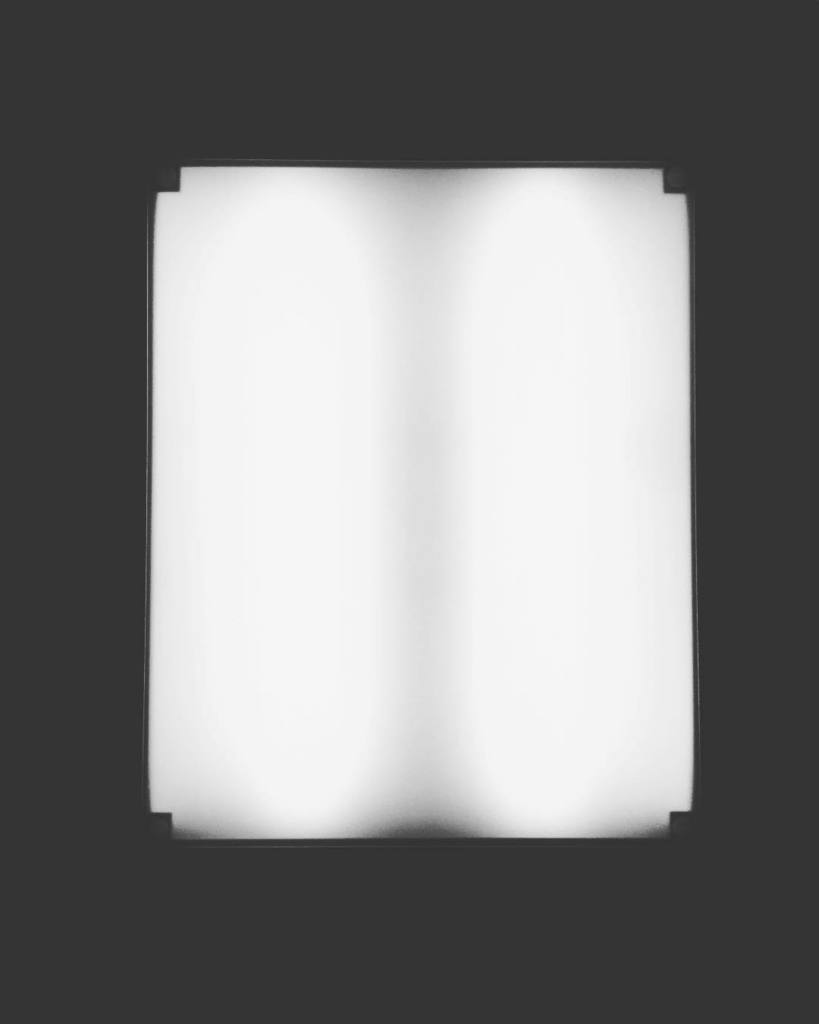 wonderinganimal's tweet photo. This is my sun lamp, and I’ve started developing emotions for it. #thatsnormalright
#becomingcyborg #becominganimal https://t.co/rNF6PNYacI https://t.co/oXvBroZrkk