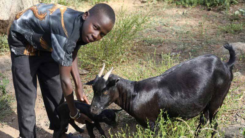 Fahad_Msaid's tweet photo. #KCSE2017 This Child name is  Brian Kaino 14 years old from Chesongoch village in Marakwet East. top pupil at Toroko primary and among the best in Elgeyo he scored 415 marks in KCPE He Can't Join School of his dream Due to lack of fees. Pls retweet his sponsor might b in ur TL https://t.co/BU9ve0sQoq