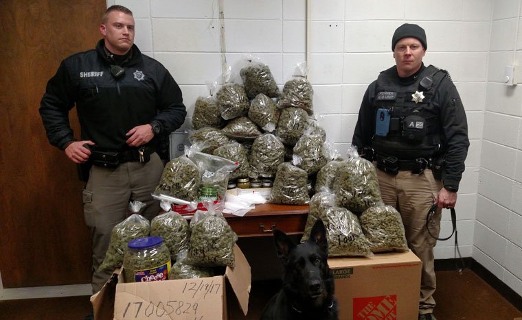 Elderly couple told cops 60 pounds of marijuana was for ‘Christmas presents’