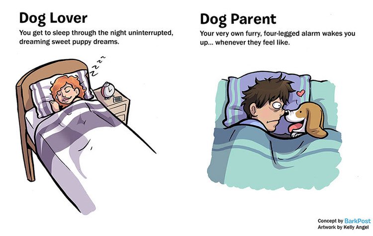 newskillacheivd's tweet photo. We’ve never seen anything so accurate… we still love them though! https://t.co/XitxWIYpia