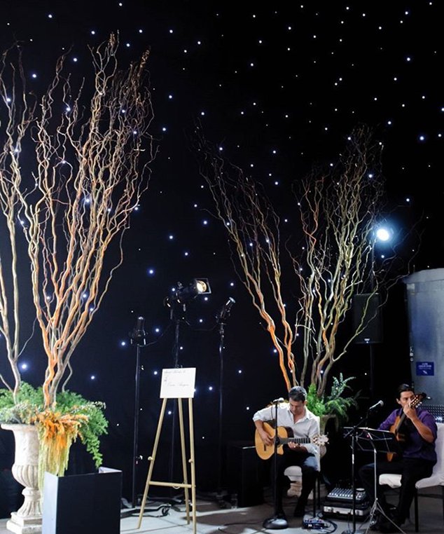 We now have 2 NEW Star Drops for purchase! Introducing the Nova &amp; Eclipse Star Drop curtains! We are the industry leader in rental, purchase and custom Star Drops! dazian.com/stardrop-landi…