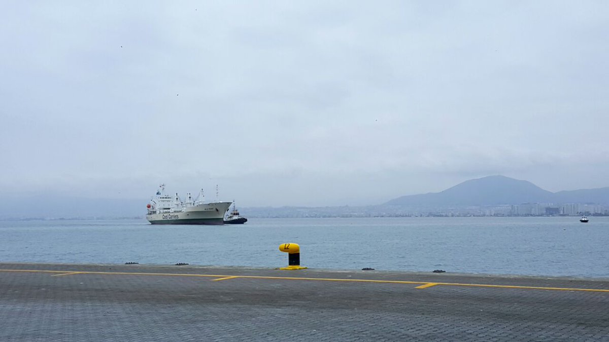 TPCCoquimbo's tweet photo. #TPCInforma Ya en @PuertoCoquimbo_ el WILD PEONY, con 150 metros de eslora, en Sitio 1 de @TPCCoquimbo da inicio oficial, al primer embarque de fruta de la temporada.
#SomosTPC #CoquimboPuertoLindo https://t.co/LMGcfwmtfP